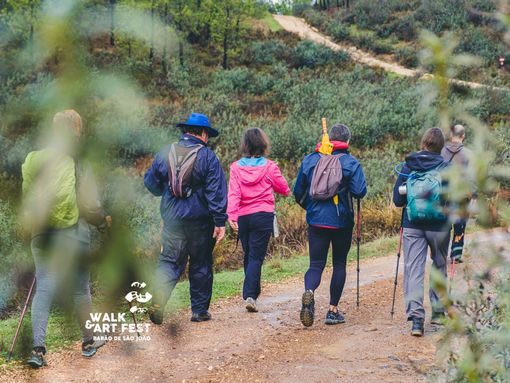 Um festival em Contraciclo: Walk&Art Fest regressa a Barão de São João