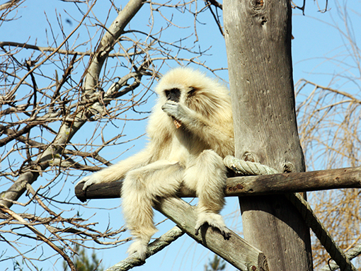 Parque Zoológico e Câmara Municipal de Lagos empenhados em promover a literacia ambiental