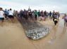 Arte Xávega da Meia Praia ganhou nova vida