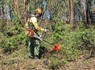 Município reforça medidas de prevenção e combate aos incêndi...