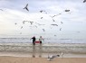 Arte Xávega da Meia Praia ganhou nova vida